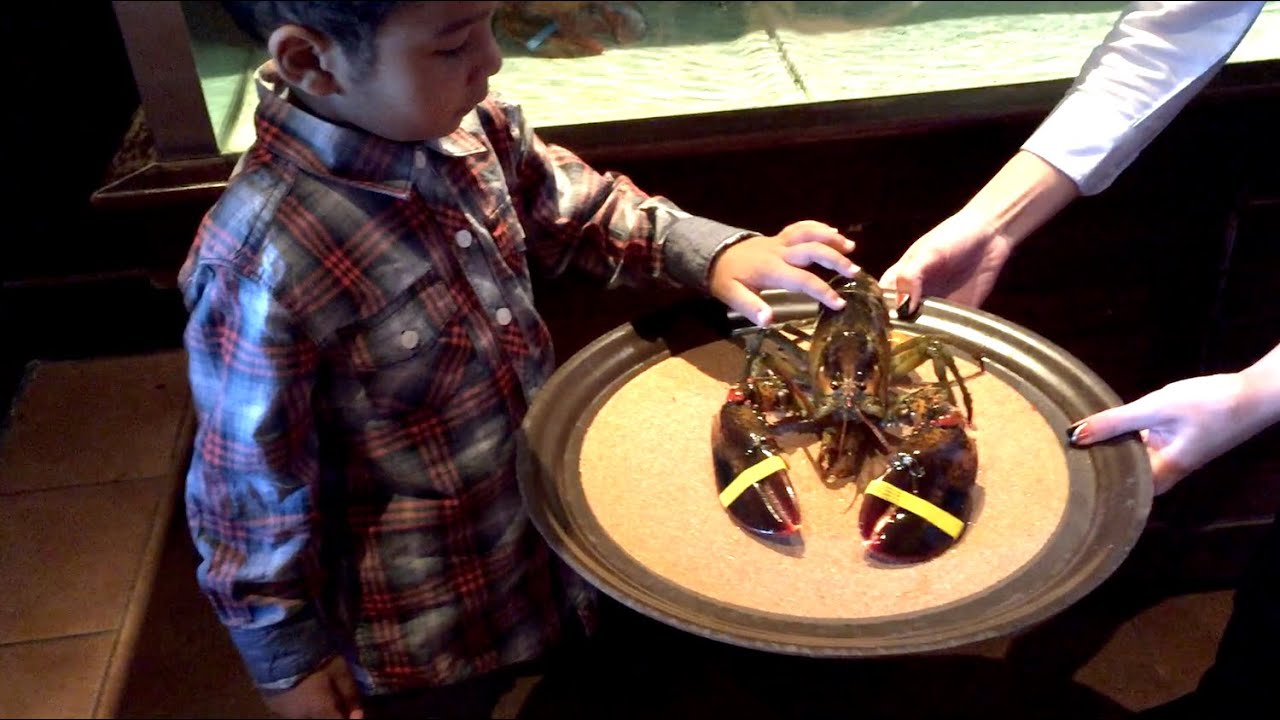Life With The Logans - Vlog #25 - All That Body! Red Lobster