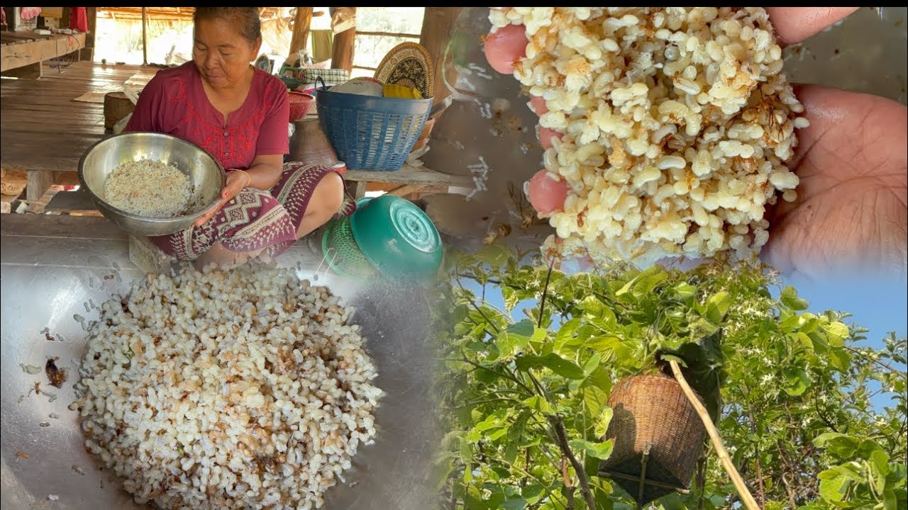 อาหารชั้นสูงแหย่ไข่มดแดงมีแต่ไข่ใหญ่ๆ