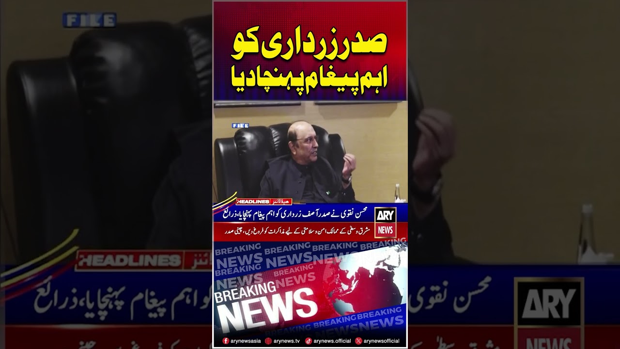Mohsin Naqvi Meets President Zardari in London #shorts #ytshorts #youtubeshorts #arynews
