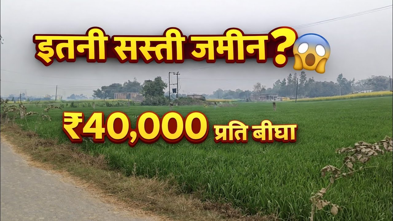 Cheap Farm Land in India! 10 Bigha @ ₹40,000 per Bigha | Best Investment Opportunity 2026