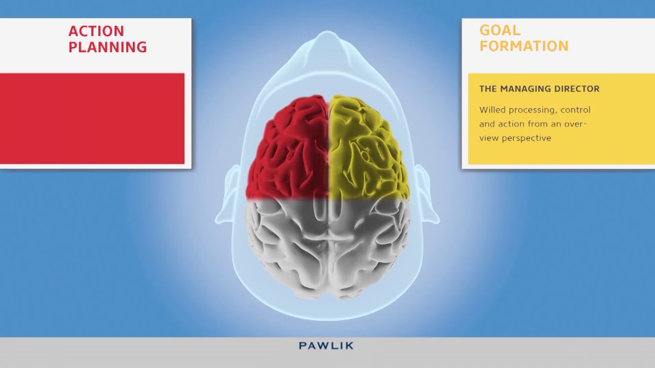 PAWLIK Wissen: The Action Control Model according to Prof. Julius Kuhl