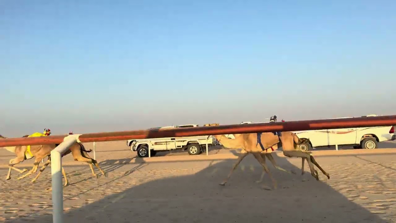 الشوط الثاني 