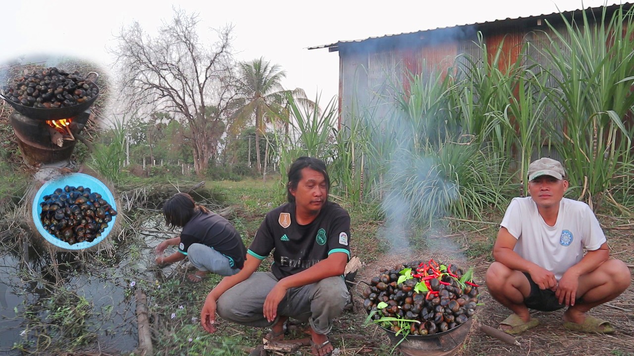 Cooking snails with my friend/ Best Cambodia food