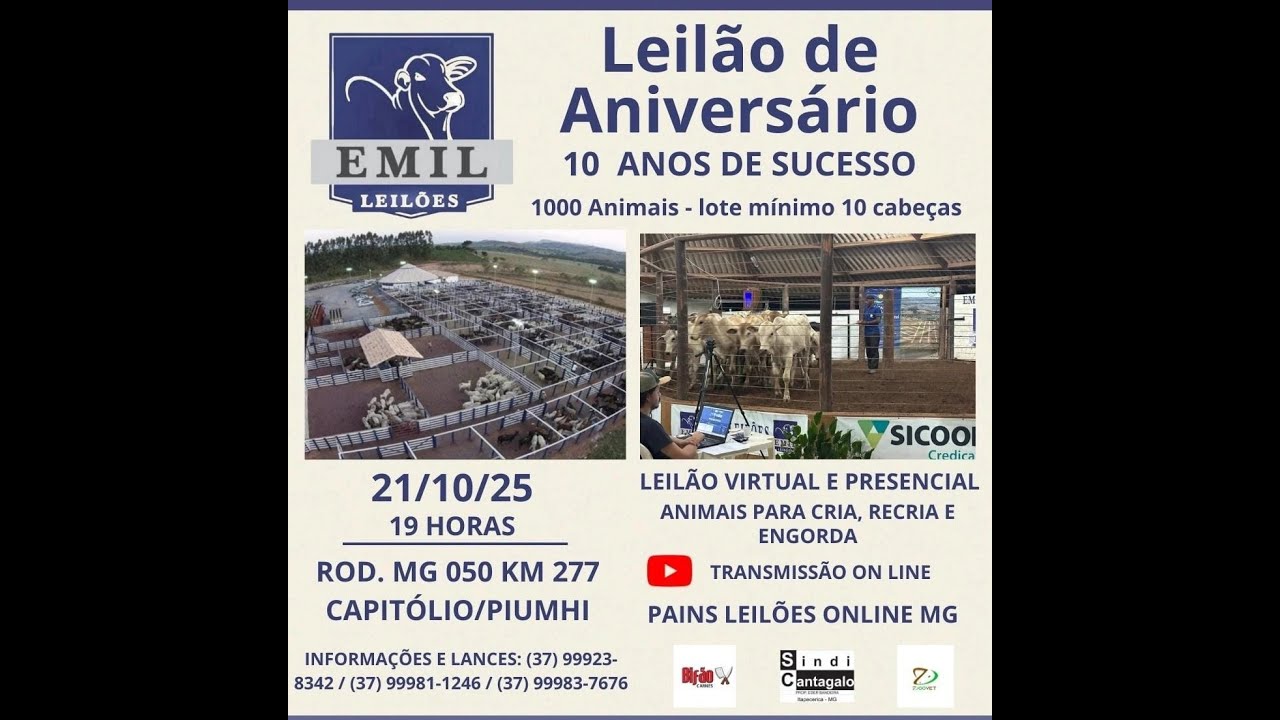 Leil&atilde;o Virtual e Presencial EMIL Leil&otilde;es 10 Anos | 1000 Animais  - Capit&oacute;lio/Piumhi - MG