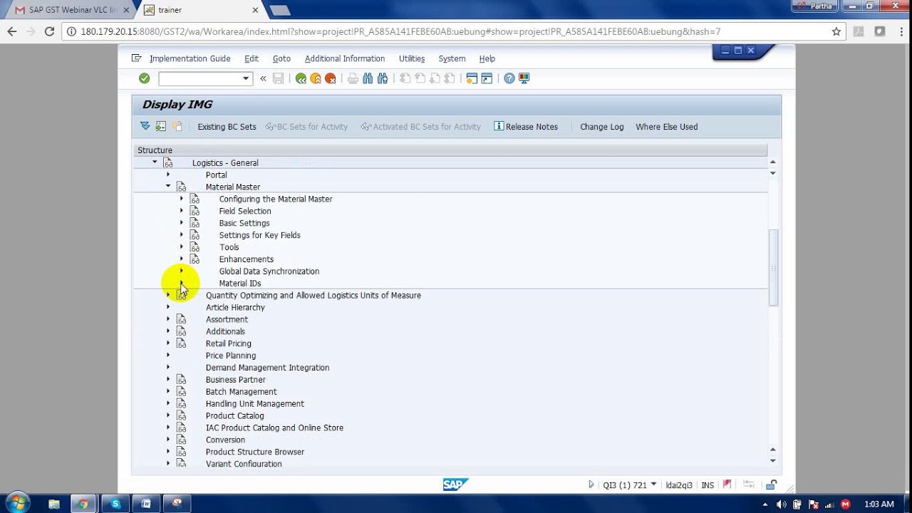 SAP GSTPractice For HSN and SAC Codes