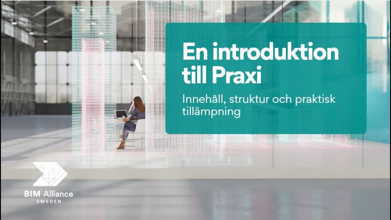 En introduktion till Praxi