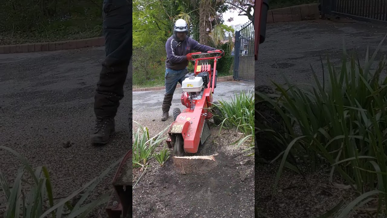 FSI B20 stump grinder in action