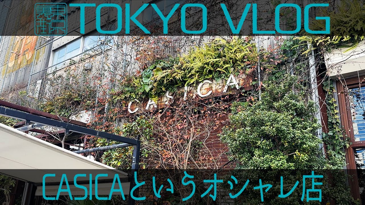 みんながCASICA行く理由がわかった【4K】Life in Tokyo vlog sub 字幕 #39