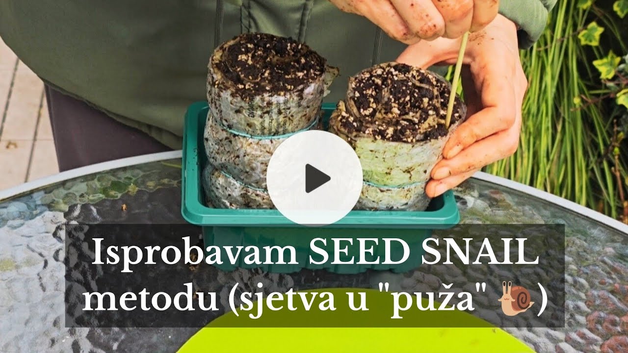 Sijemo u stanu! 🌱 (Moj prvi 