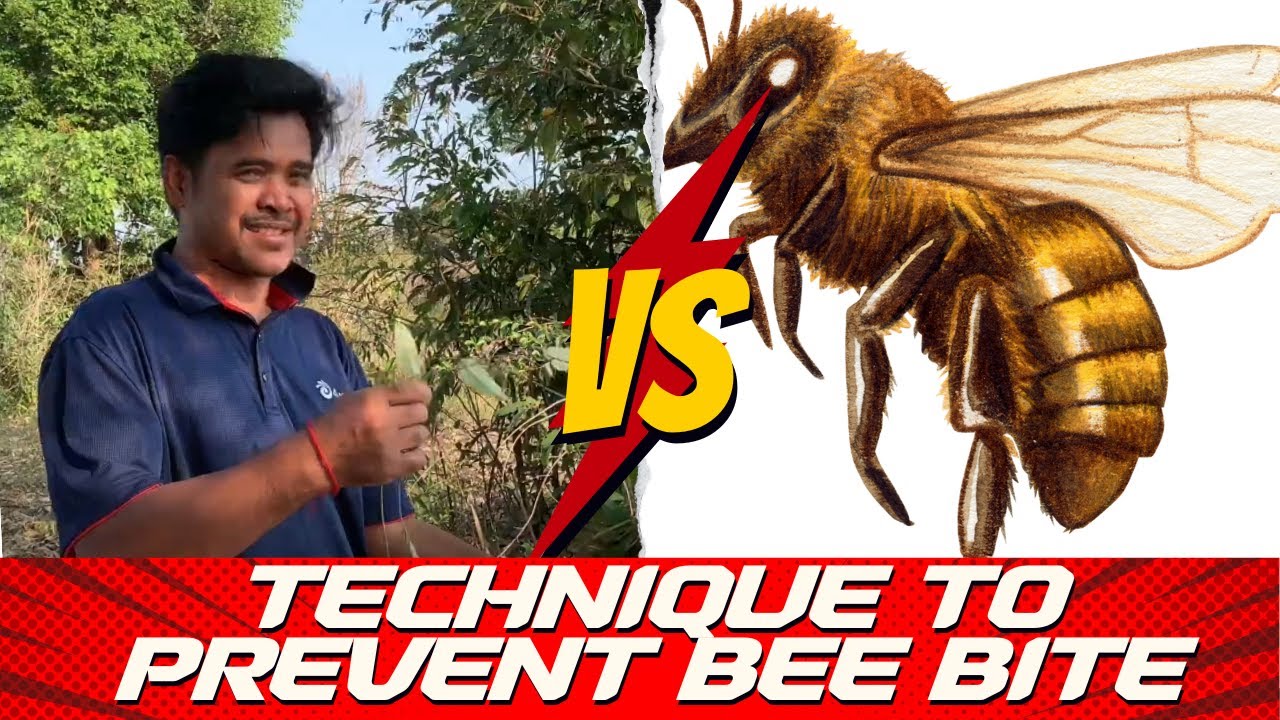 Protect Yourself from Bee Bites with Primitive Method
