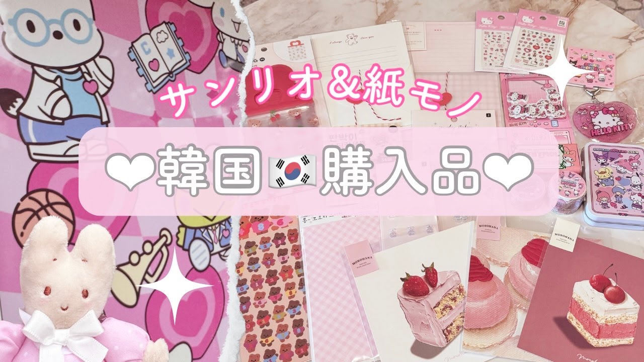 【韓国】サンリオ&紙モノ購入品❤️korea HAUL❣️