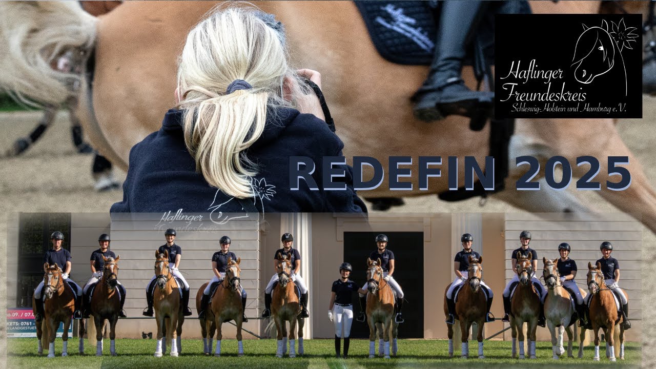 Quadrille Haflinger Landgestüt Redefin Hengstparade 2025