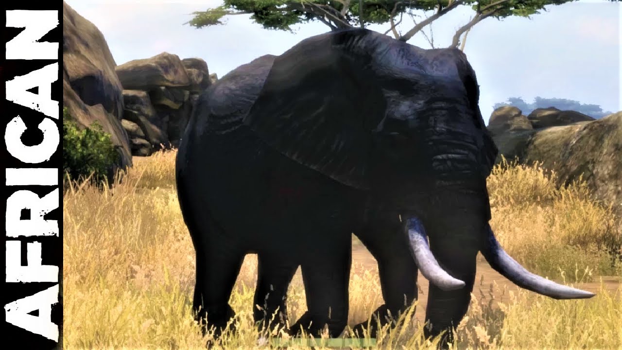 Cabelas African Adventures [Part 12]