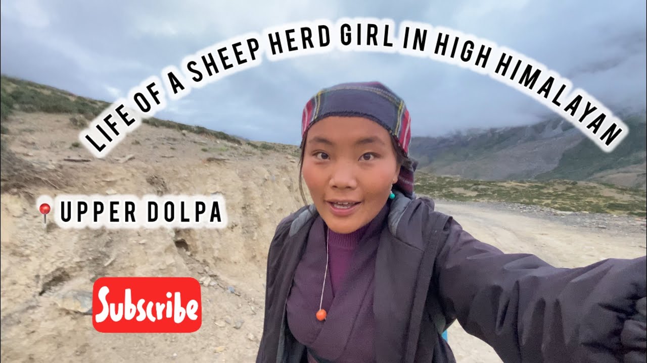 BETWEEN CLOUD AND SHEEP 🐑 :HIMALAYAN GIRL RAW DIARY 🍀|| 📍EXPLORE MYSTICAL UPPER DOLPA ✨🤍