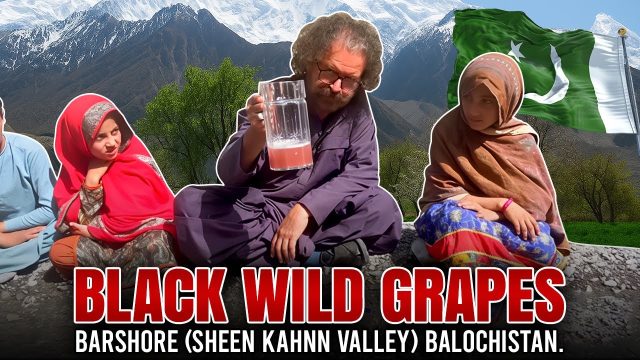 BLACK WILD GRAPES | BARSHORE (SHEEN KAHNN VALLEY)| BALOCHISTAN. | AYUB KHOSA