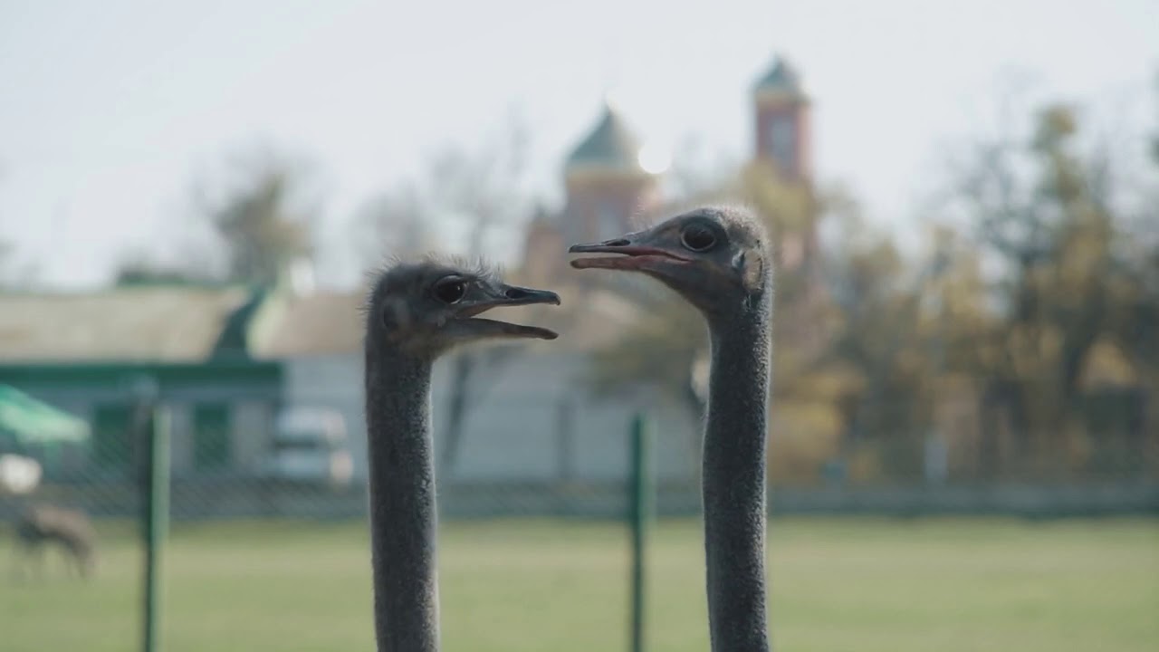 В Києві стартує Docudays UA 2019. Тізер українського конкурсу