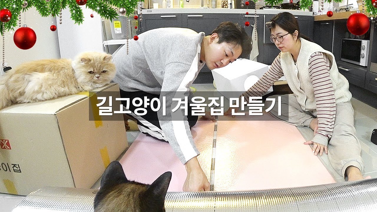 카페 뒷길 길냥이들을 위해 만든 겨울집☃️