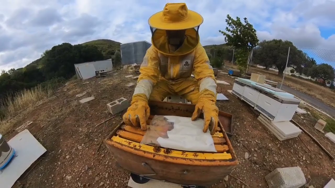 Φθινόπωρο στα μελίσσια ( συγκρίσεις)