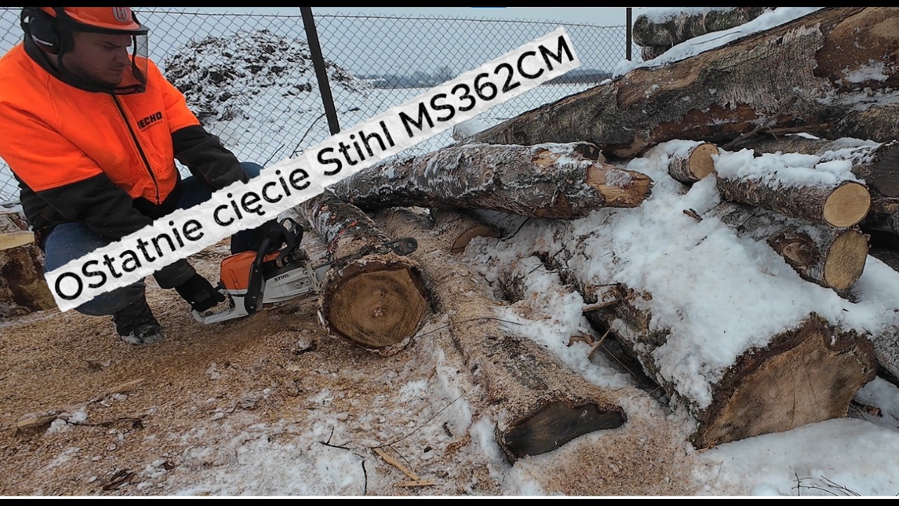 Ostatnie cięcie pilarką Stihl MS362-CM !