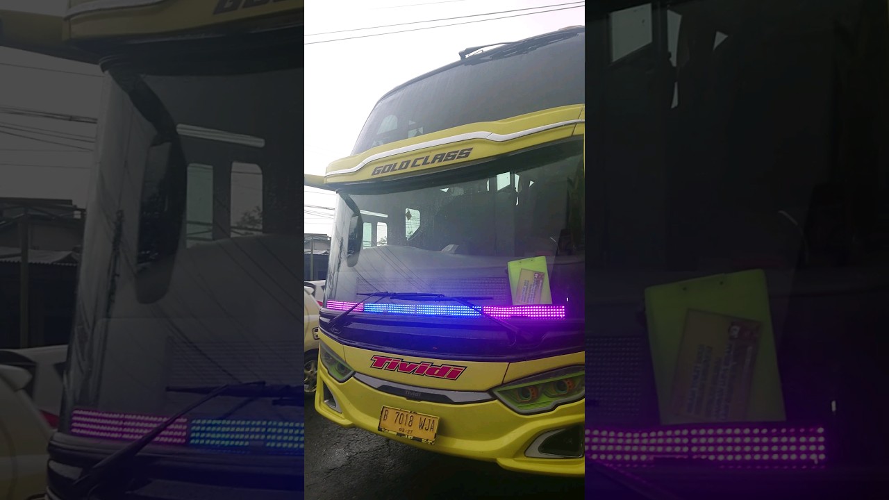bus TIVIDI GOLD CLASS