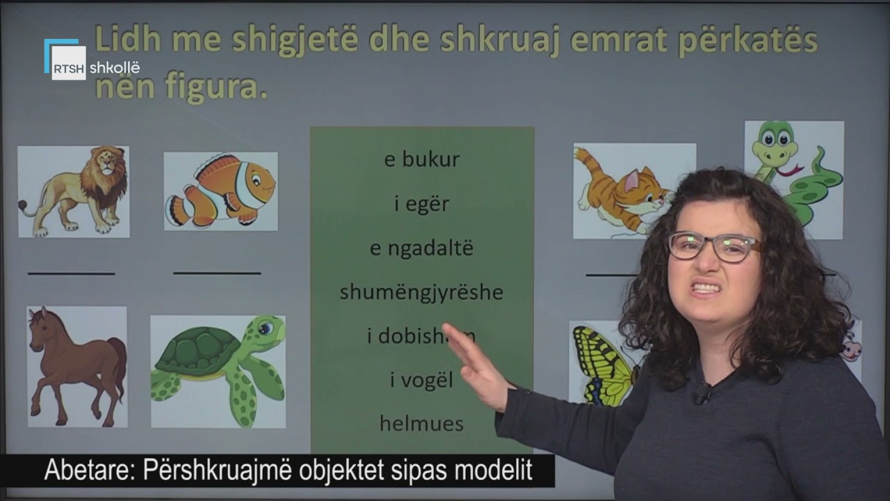 Abetare - Përshkruajmë objektet sipas modelit