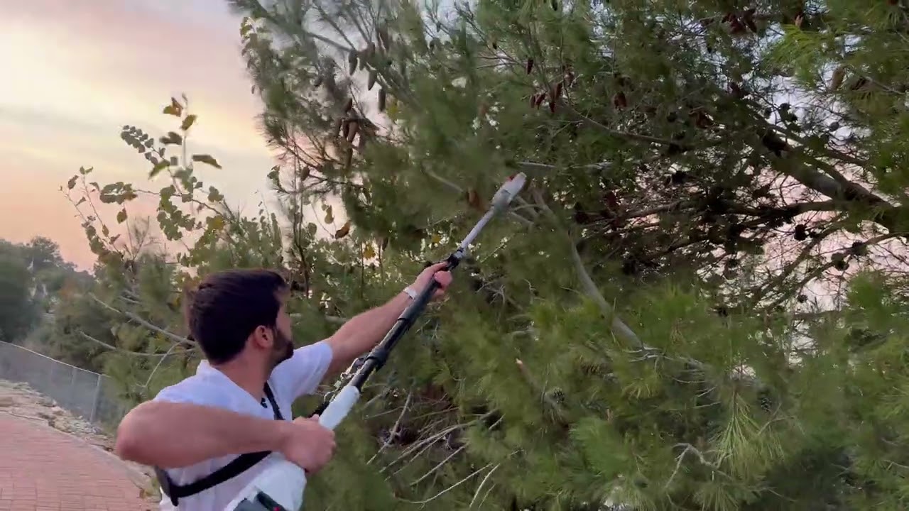 מסור גובה נטען לגינה 40V מבית IKRA