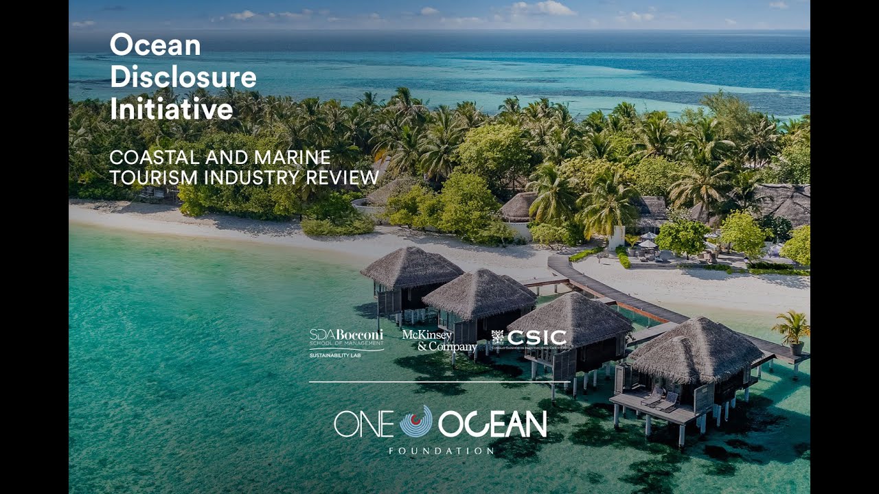 Coastal and Marine Tourism Sector | Pressures on the ocean and possible solutions
