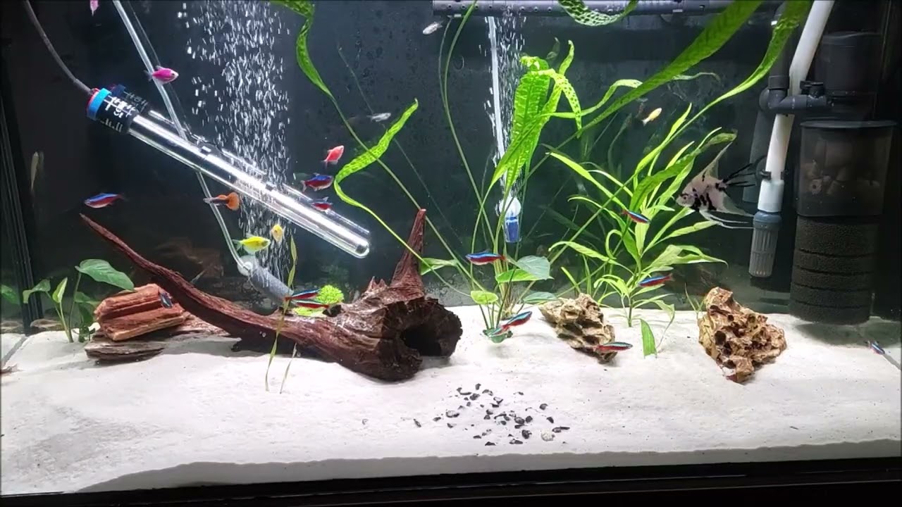 Akwarium 200 L