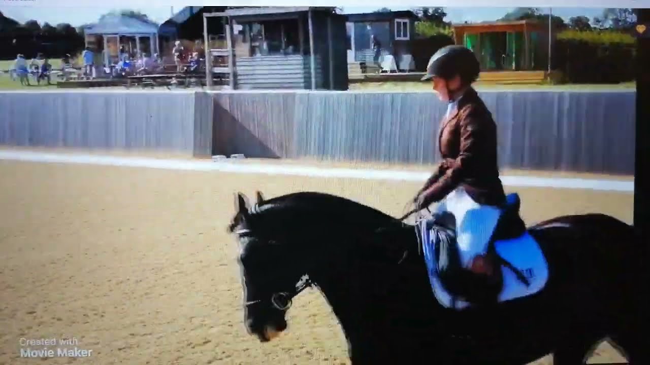 Dressage at Silver leys