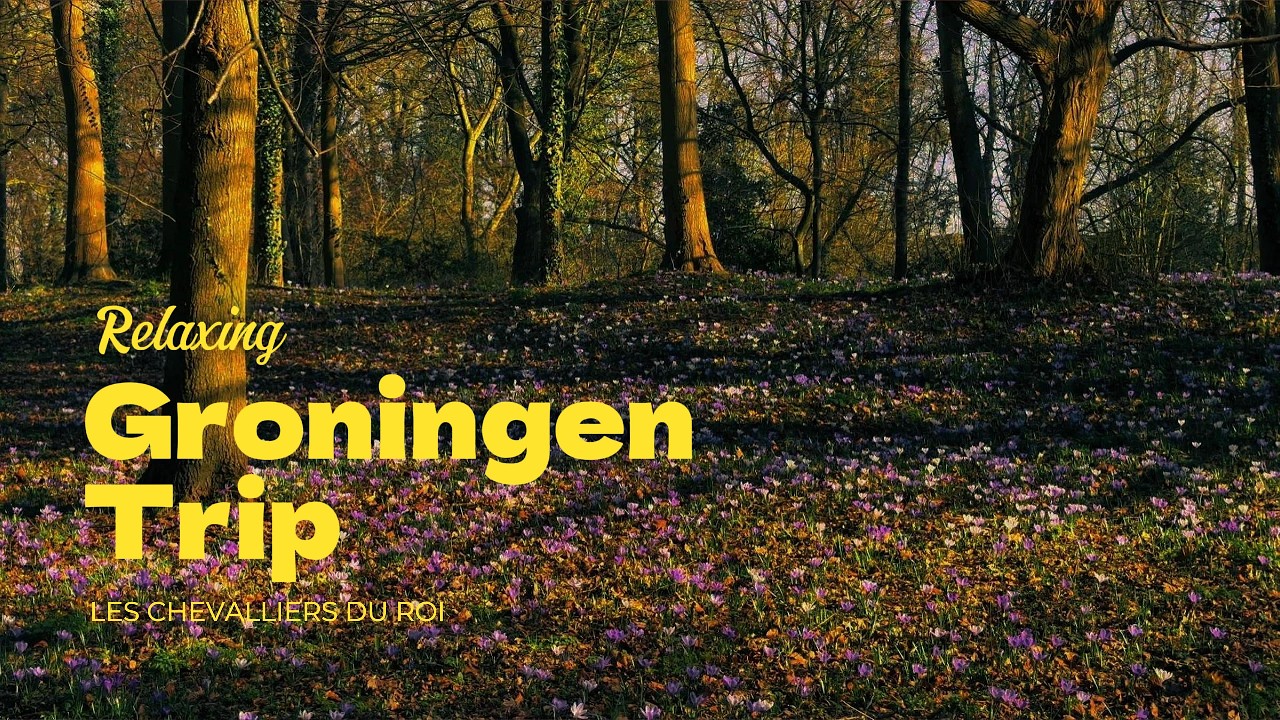 Paseo relajante por Groningen | Walking Vlog Países Bajos