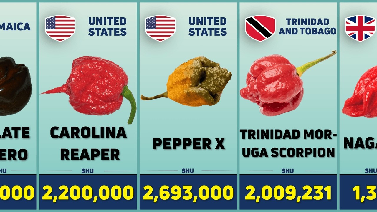 Top 40 Spiciest Peppers in the World! (Scoville Scale)