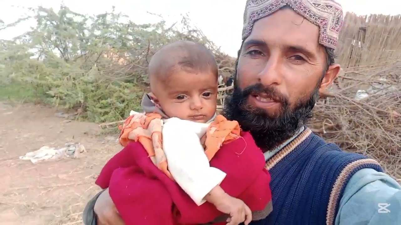 آ ج ہم نے گندم میں سپرے کی اور آ لو مٹر والا پلا بنایا