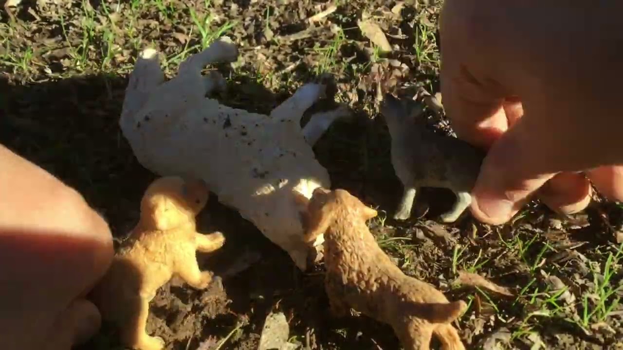Moonlight (episode 4) The Meadow (toy wolf series)