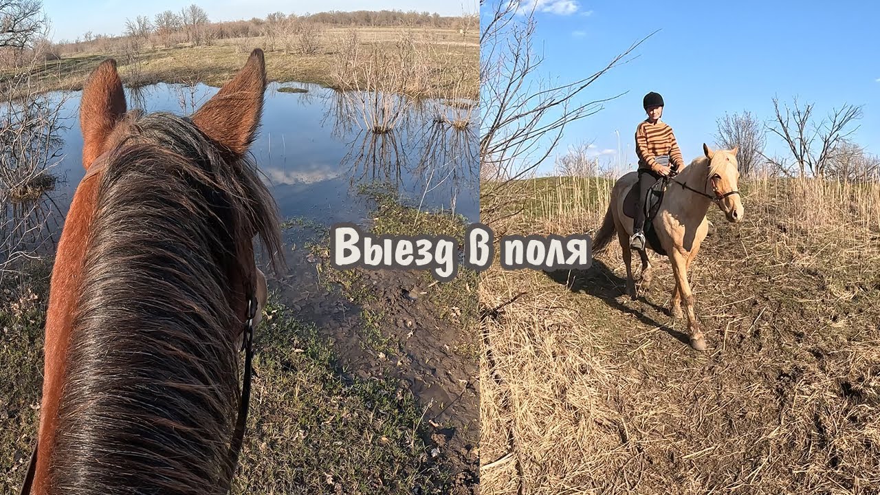 Прогулка верхом с Прадой и Карамель