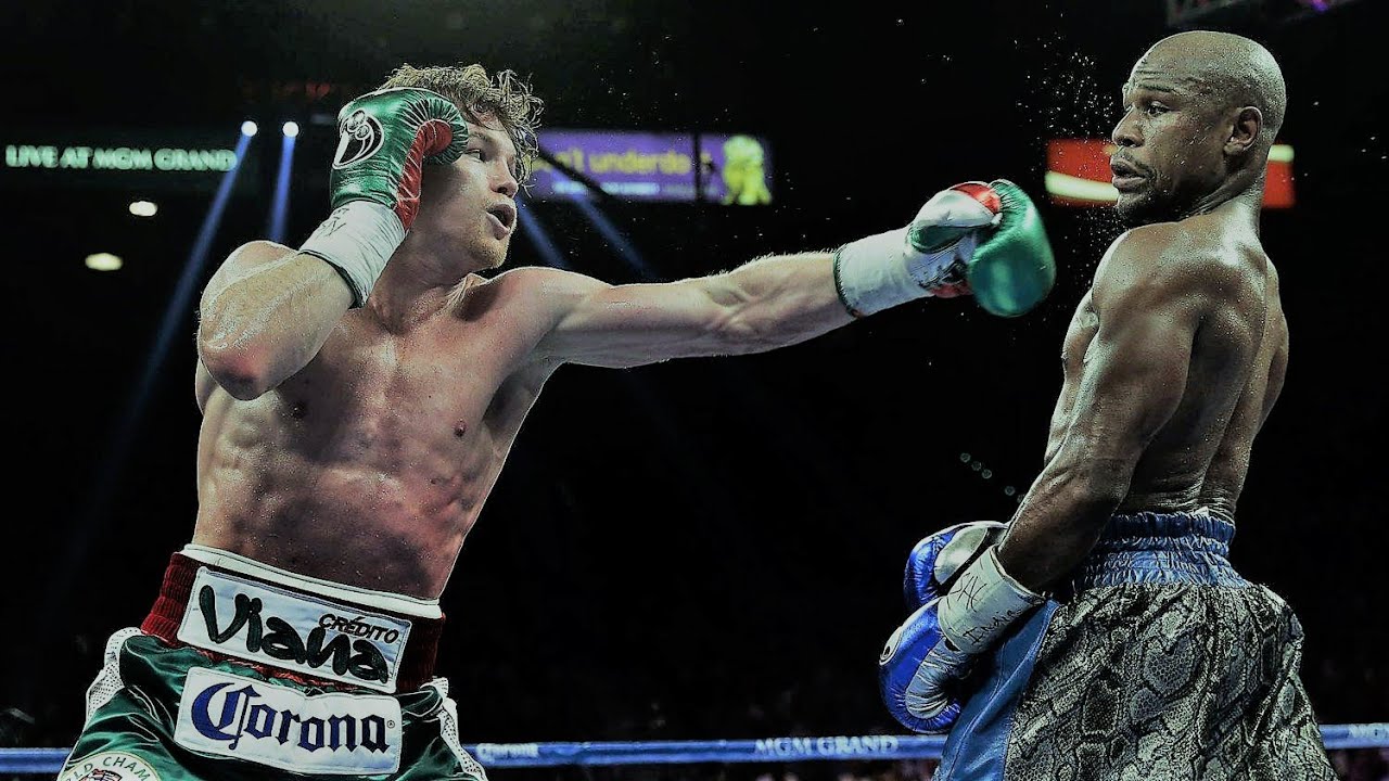 Ultra Instinct Boxing [HD]