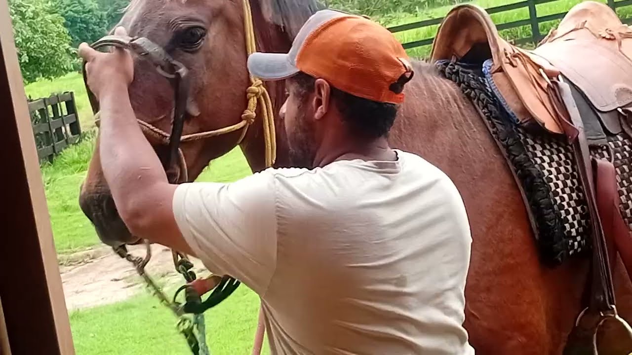 16 de janeiro de 2026