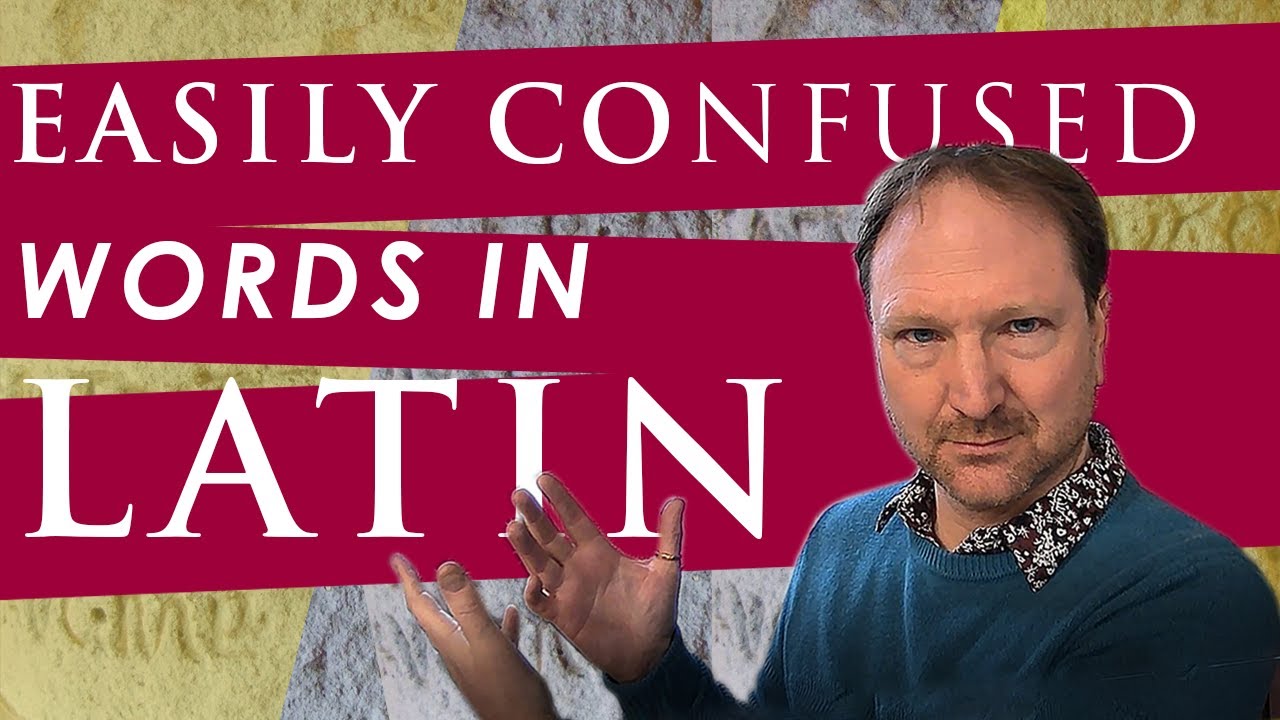 Easily confused words in Latin (junior level)