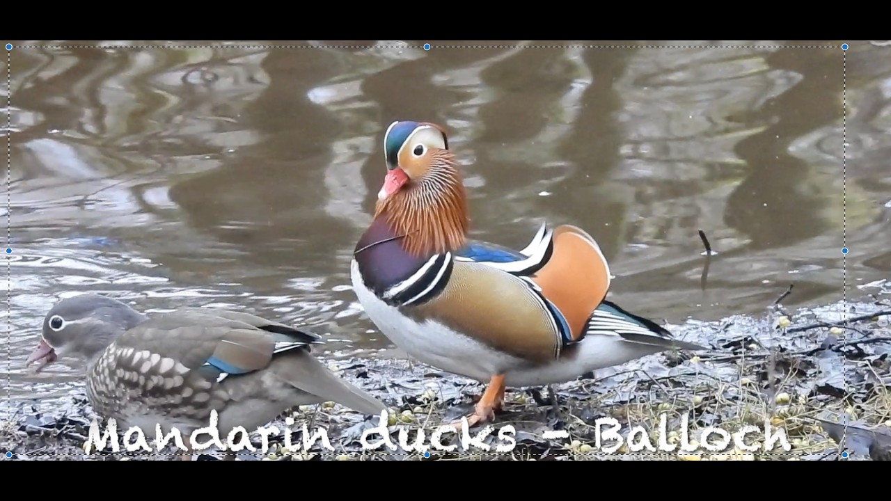 Glasgow, Loch Lomond and Beyond - To 2nd Feb 2026