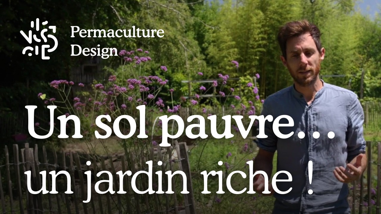 Jardin en permaculture : comment r&eacute;ussir sur sol sableux ?