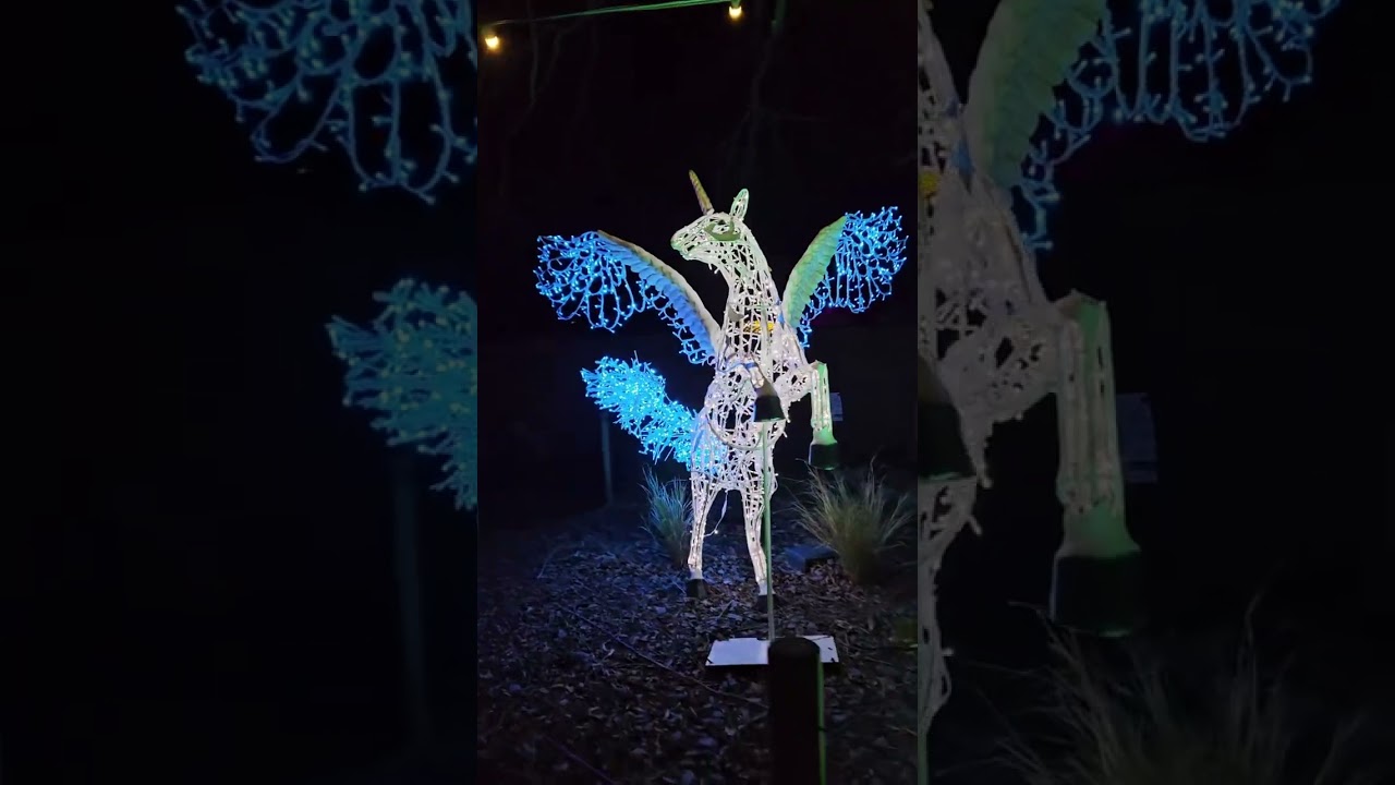 Magical Christmas Experience at Knowsley Safari Park! #christmaslights