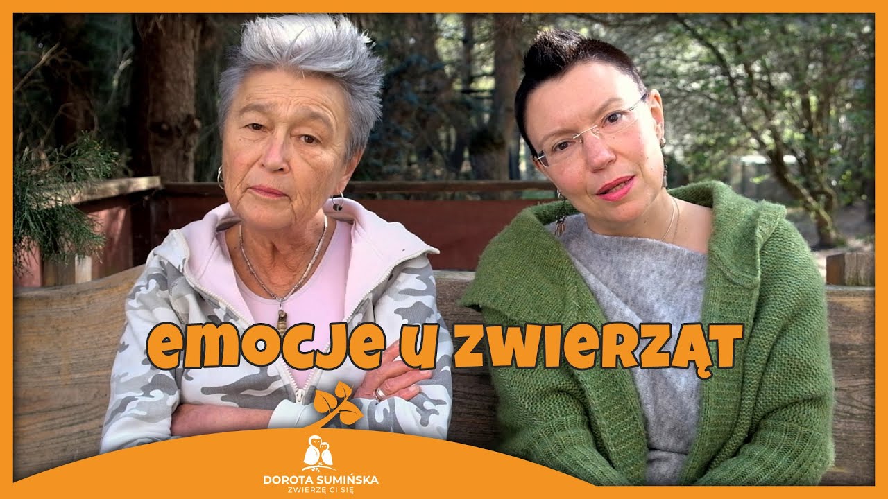 Emocje u zwierząt