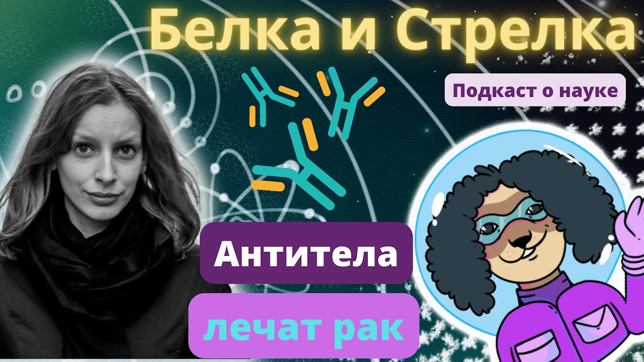 Антитела - бомбы иммунитета