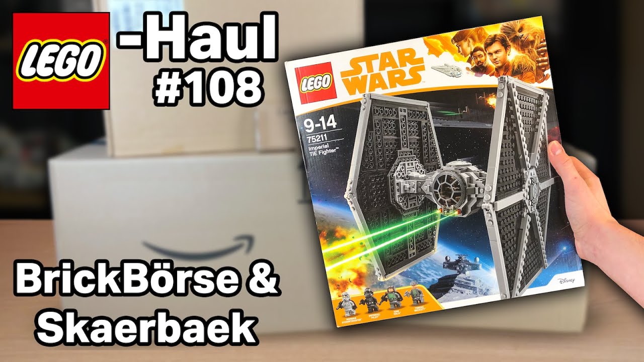 Meine UNGLAUBLICHEN Einkäufe von der BrickBörse 🤯💸 Lego Haul 