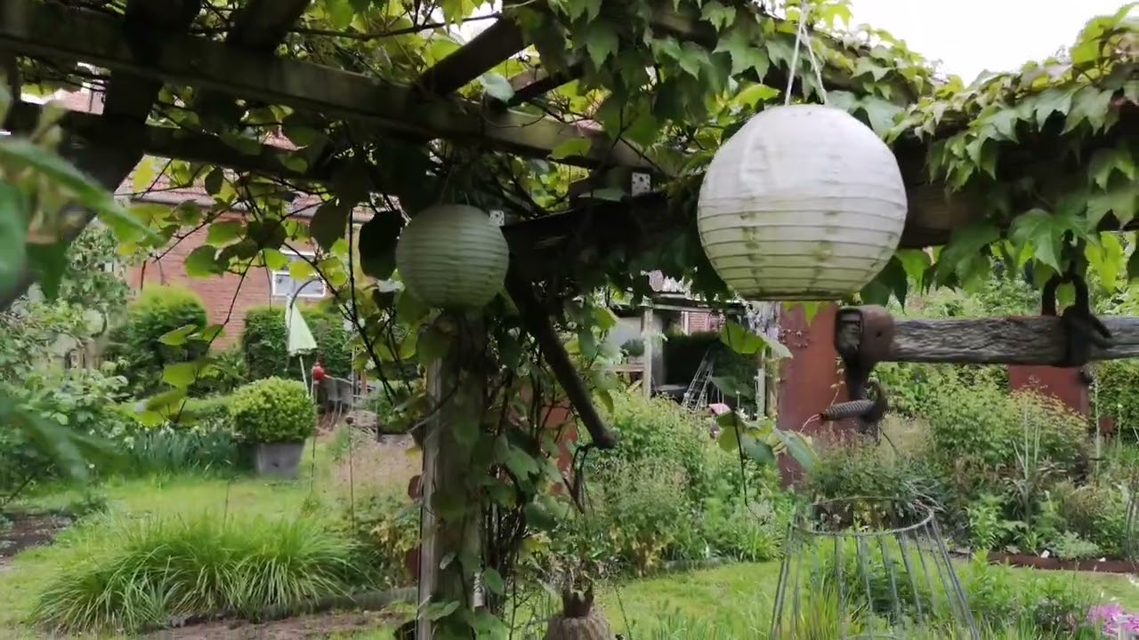 Der Garten im Mai 2022 die Ballsaison ist eröffnet.