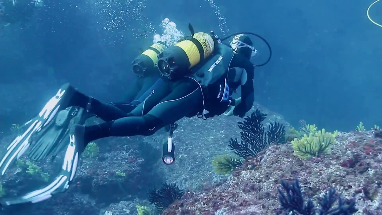 Buceo en L'Estartit - Dive in L'Estartit