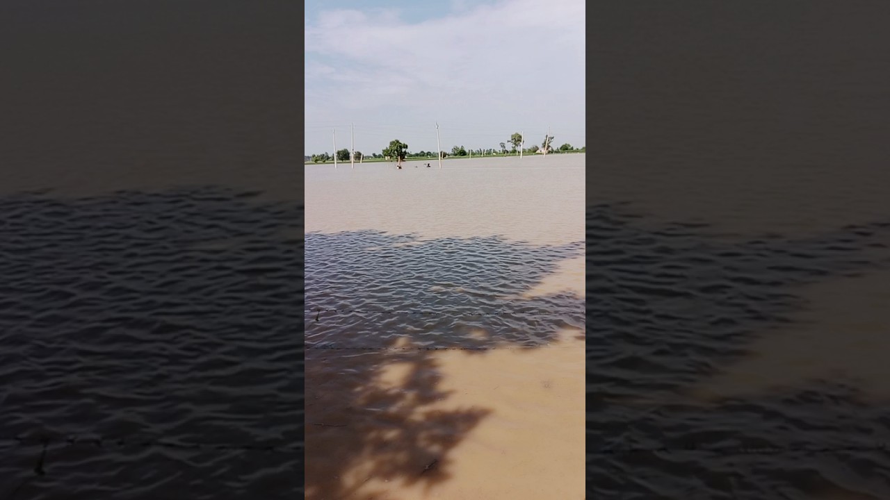 river bhawar Village accident in river bhawar Village river broke today
