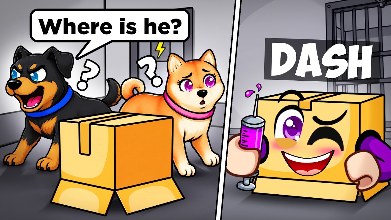 Я был в коробке в игре Roblox Dog Pound, и меня НИКТО не убил...