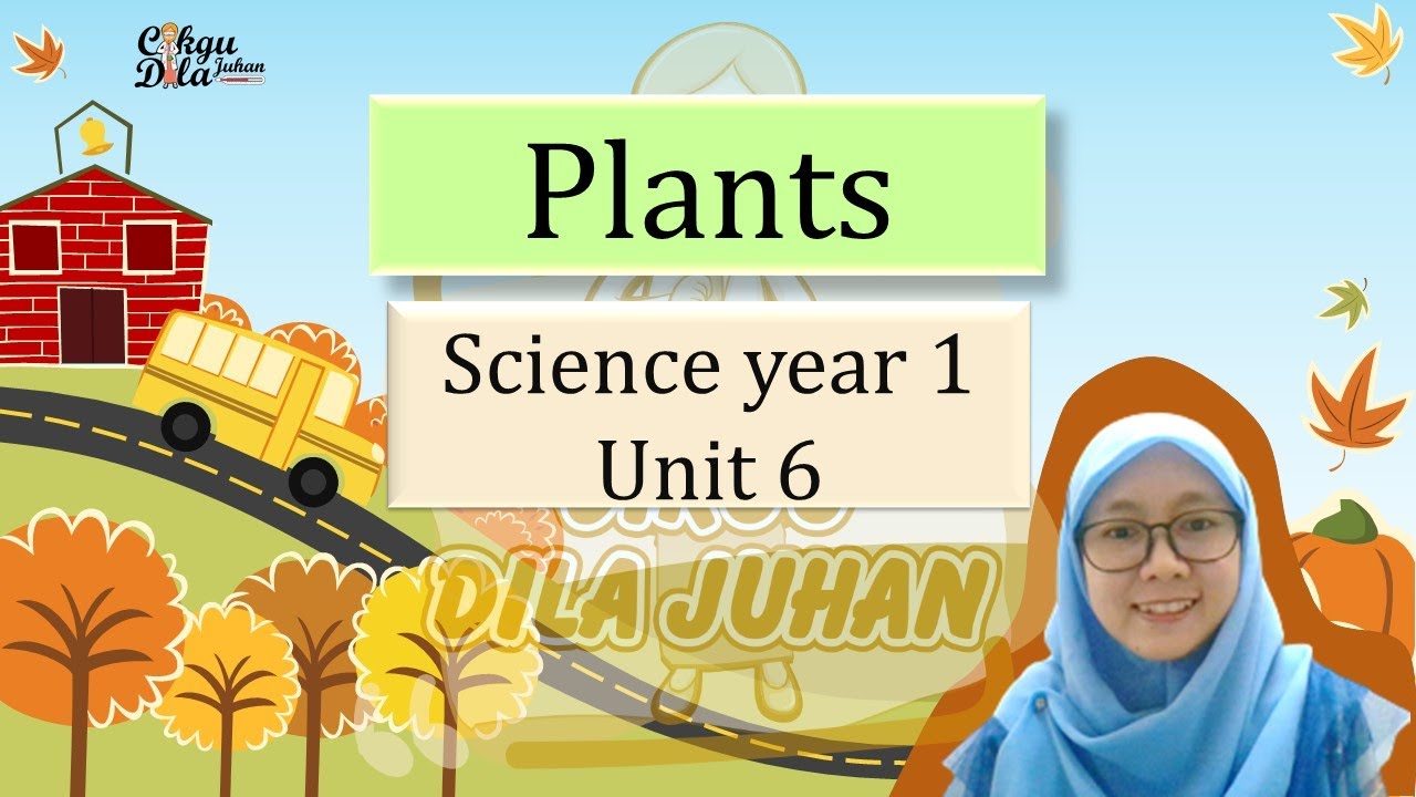 Science year 1|Parts of Plant|