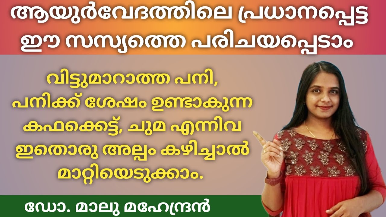 വിട്ടുമാരാത്ത കഫക്കെട്ട് പനി ഇനി വേഗം മാറ്റിയെടുക്കാം | Thipali | തിപ്പല്ലി