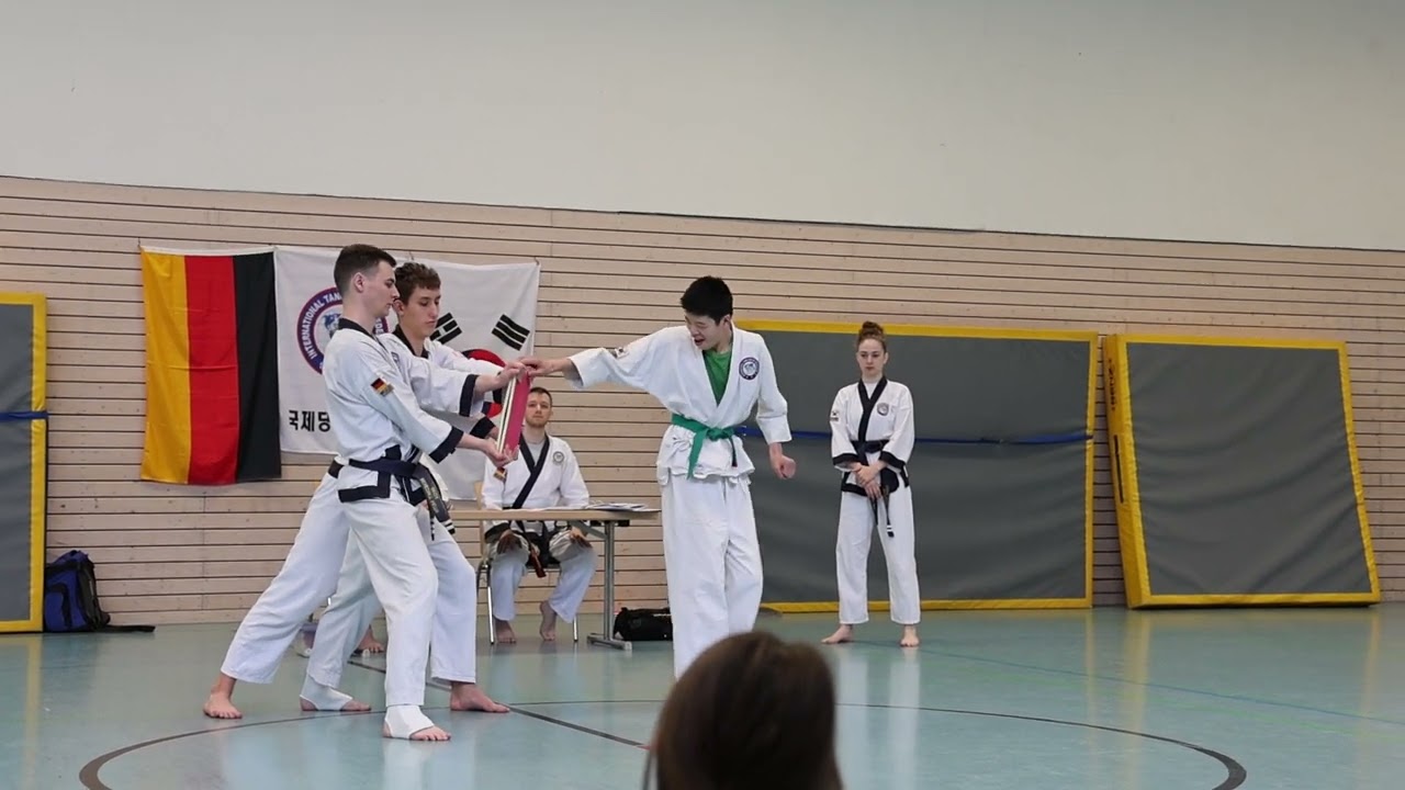Tang soo do 2024 Beilstein Das ist Den Burchstest